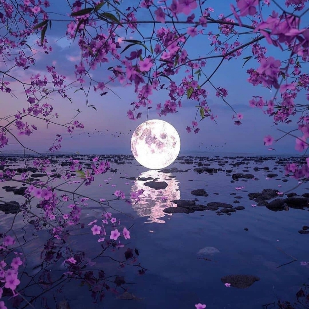 Moon